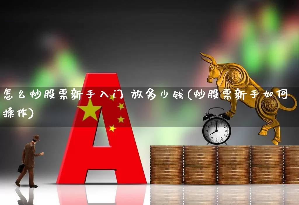 怎么炒股票新手入门 放多少钱(炒股票新手如何操作)_https://www.haiwangdasha.com_科创板_第1张