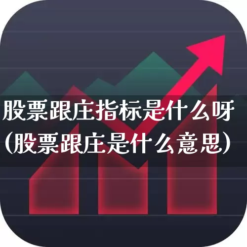 股票跟庄指标是什么呀(股票跟庄是什么意思)_https://www.haiwangdasha.com_北交所_第1张