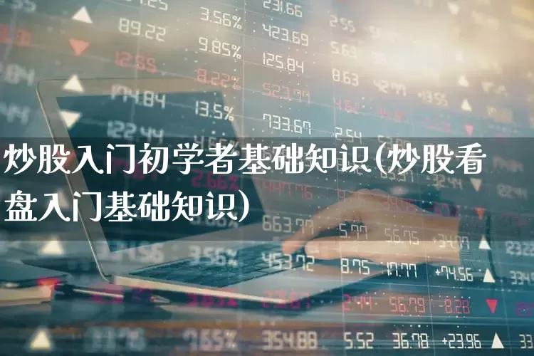 炒股入门初学者基础知识(炒股看盘入门基础知识)_https://www.haiwangdasha.com_北交所_第1张