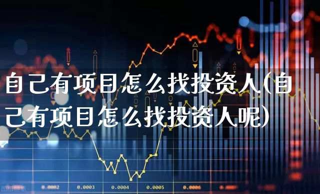 自己有项目怎么找投资人(自己有项目怎么找投资人呢)_https://www.haiwangdasha.com_深交所_第1张