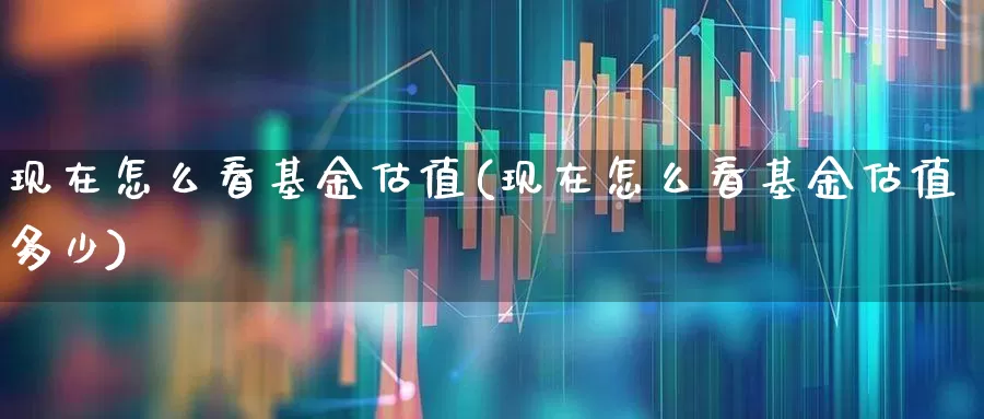 现在怎么看基金估值(现在怎么看基金估值多少)_https://www.haiwangdasha.com_深交所_第1张