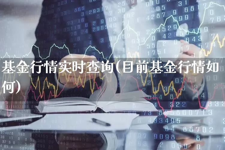 基金行情实时查询(目前基金行情如何)_https://www.haiwangdasha.com_创业板_第1张