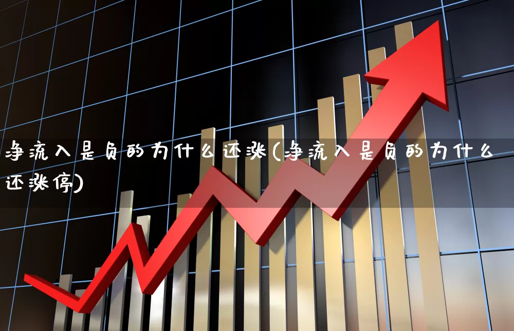 净流入是负的为什么还涨(净流入是负的为什么还涨停)_https://www.haiwangdasha.com_北交所_第1张