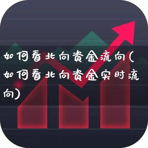 如何看北向资金流向(如何看北向资金实时流向)_https://www.haiwangdasha.com_科创板_第1张