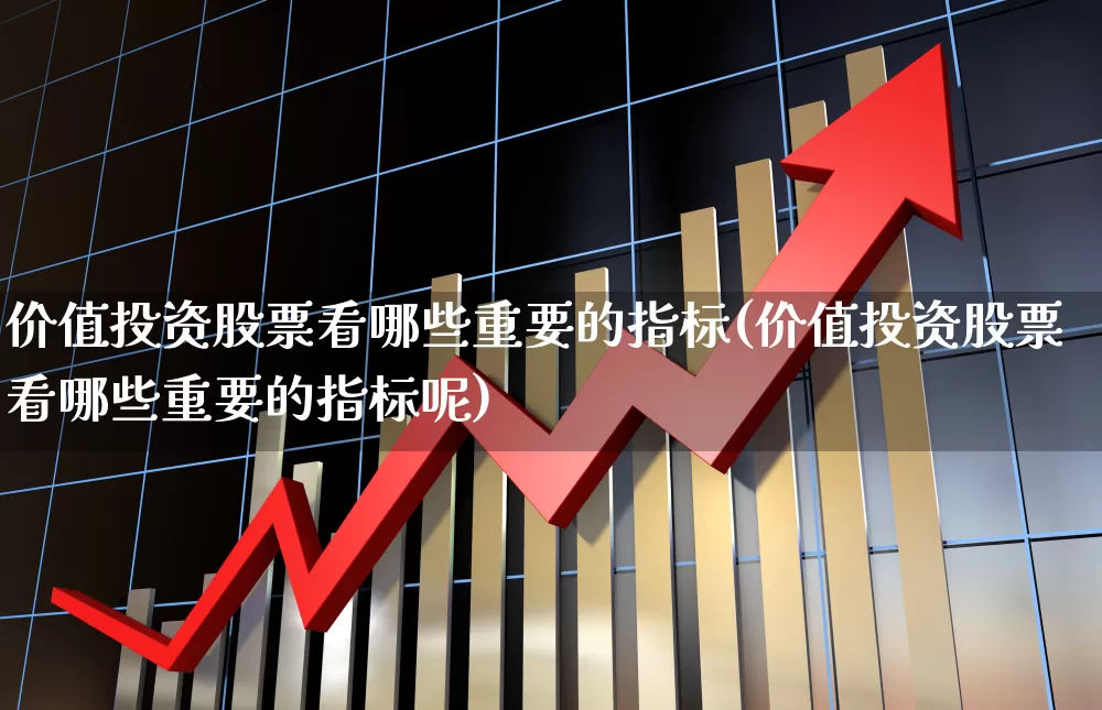 价值投资股票看哪些重要的指标(价值投资股票看哪些重要的指标呢)_https://www.haiwangdasha.com_科创板_第1张