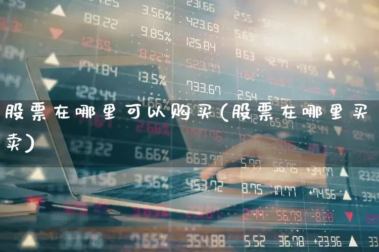 股票在哪里可以购买(股票在哪里买卖)_https://www.haiwangdasha.com_北交所_第1张