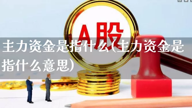 主力资金是指什么(主力资金是指什么意思)_https://www.haiwangdasha.com_上交所_第1张