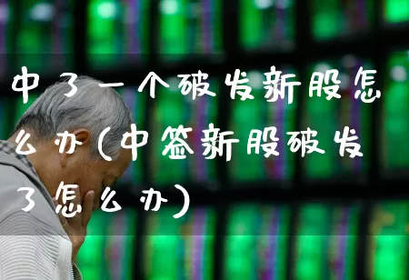 中了一个破发新股怎么办(中签新股破发了怎么办)_https://www.haiwangdasha.com_上交所_第1张