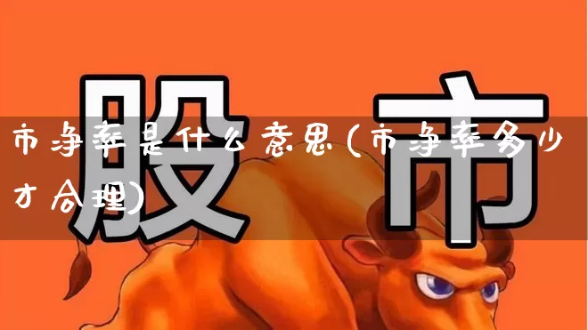 市净率是什么意思(市净率多少才合理)_https://www.haiwangdasha.com_深交所_第1张