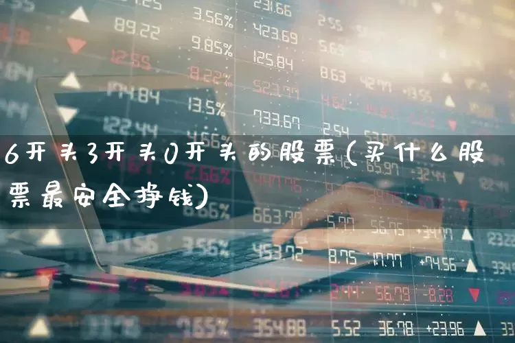 6开头3开头0开头的股票(买什么股票最安全挣钱)_https://www.haiwangdasha.com_创业板_第1张