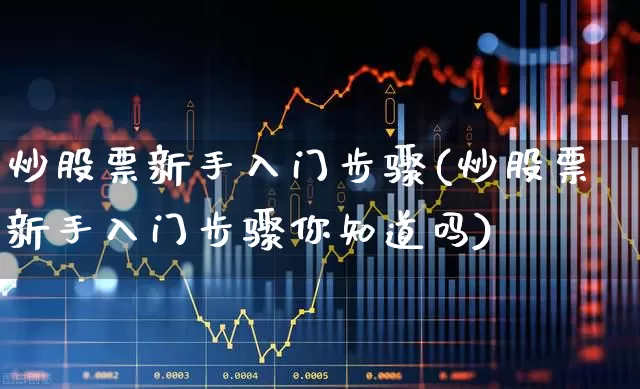 炒股票新手入门步骤(炒股票新手入门步骤你知道吗)_https://www.haiwangdasha.com_上交所_第1张