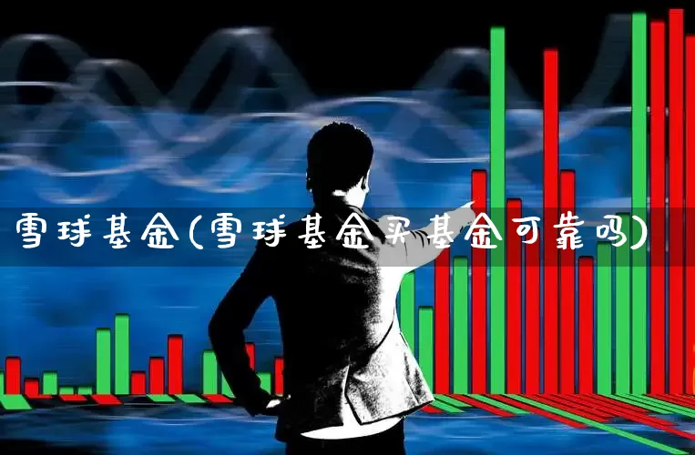 雪球基金(雪球基金买基金可靠吗)_https://www.haiwangdasha.com_科创板_第1张