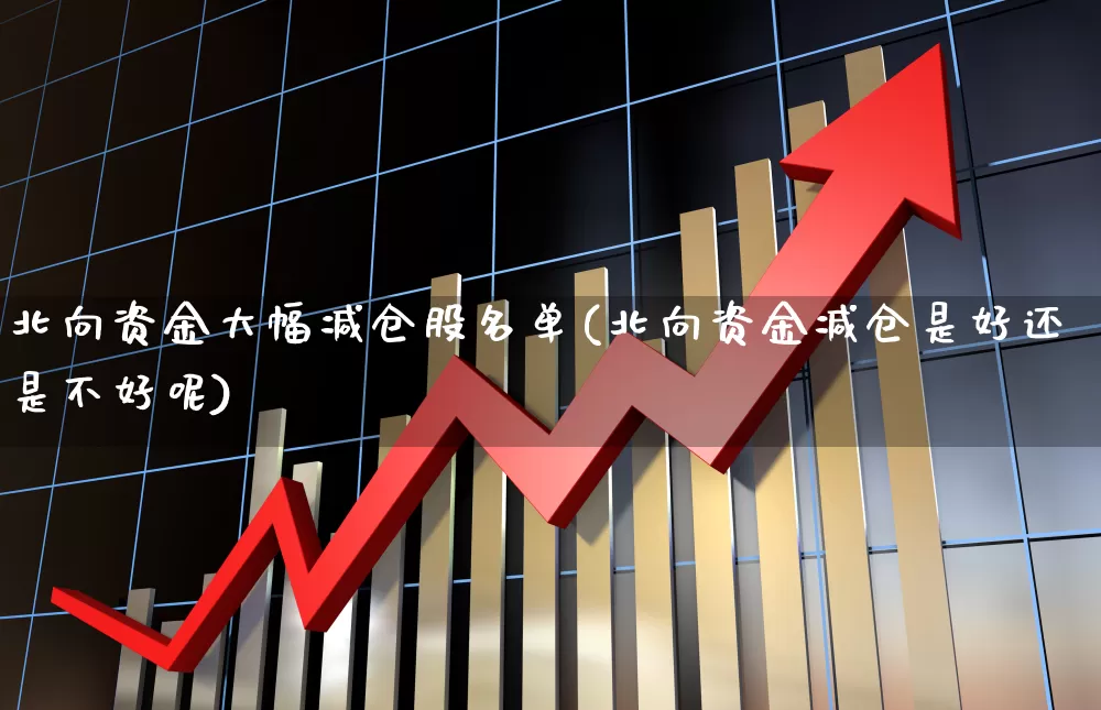 北向资金大幅减仓股名单(北向资金减仓是好还是不好呢)_https://www.haiwangdasha.com_科创板_第1张