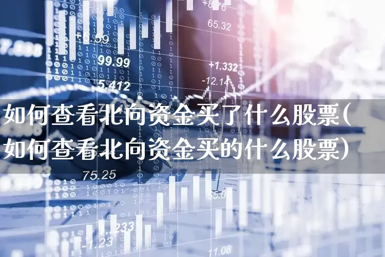 如何查看北向资金买了什么股票(如何查看北向资金买的什么股票)_https://www.haiwangdasha.com_深交所_第1张
