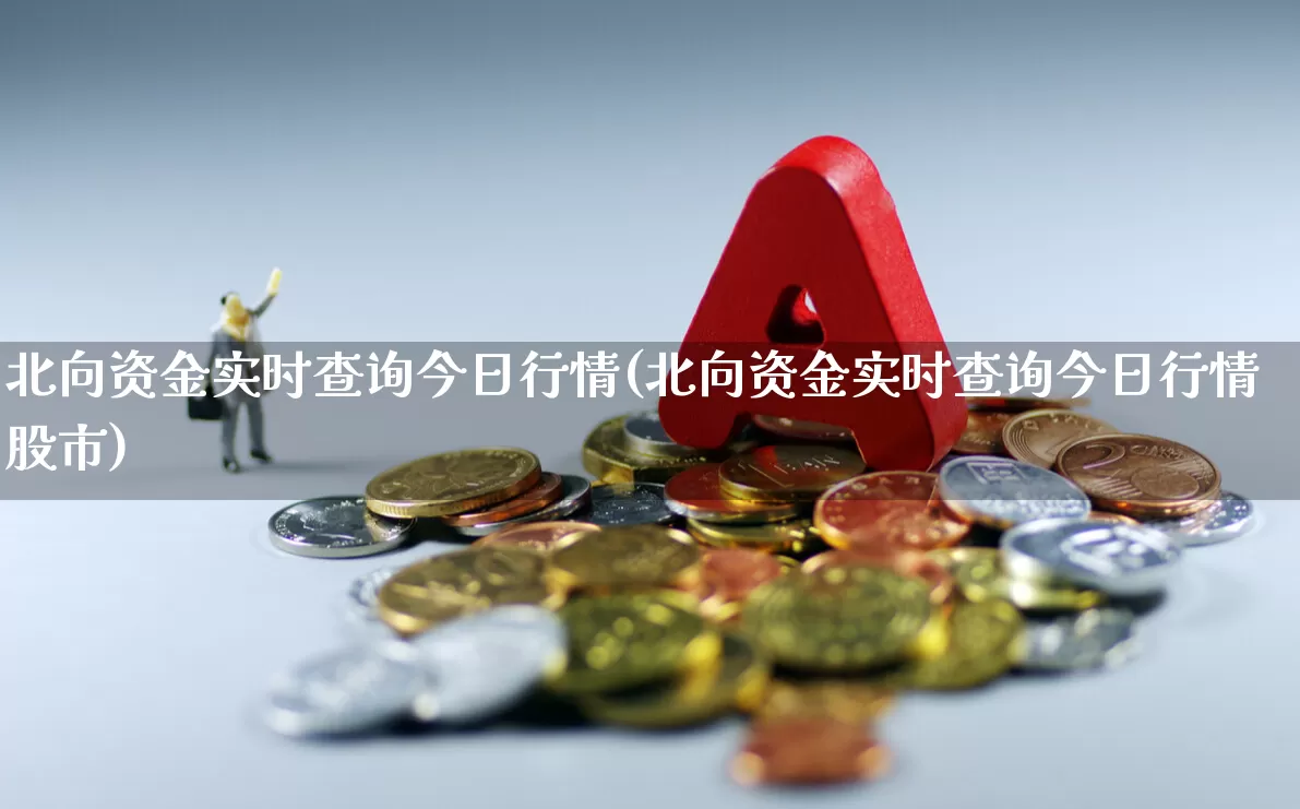 北向资金实时查询今日行情(北向资金实时查询今日行情股市)_https://www.haiwangdasha.com_深交所_第1张