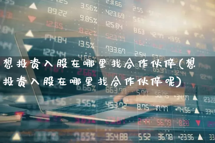 想投资入股在哪里找合作伙伴(想投资入股在哪里找合作伙伴呢)_https://www.haiwangdasha.com_创业板_第1张