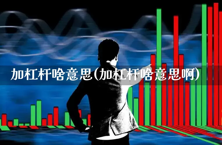 加杠杆啥意思(加杠杆啥意思啊)_https://www.haiwangdasha.com_上交所_第1张