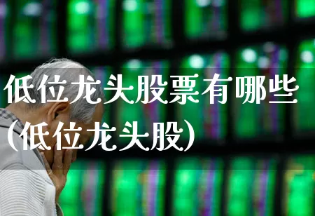 低位龙头股票有哪些(低位龙头股)_https://www.haiwangdasha.com_科创板_第1张