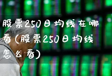 股票250日均线在哪看(股票250日均线怎么看)_https://www.haiwangdasha.com_北交所_第1张
