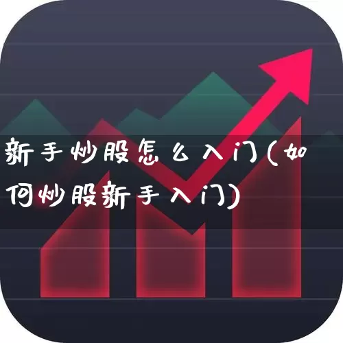 新手炒股怎么入门(如何炒股新手入门)_https://www.haiwangdasha.com_深交所_第1张