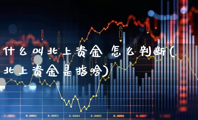 什么叫北上资金 怎么判断(北上资金是指啥)_https://www.haiwangdasha.com_深交所_第1张