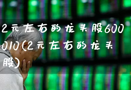 2元左右的龙头股600010(2元左右的龙头股)_https://www.haiwangdasha.com_创业板_第1张