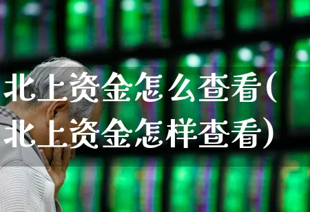北上资金怎么查看(北上资金怎样查看)_https://www.haiwangdasha.com_北交所_第1张
