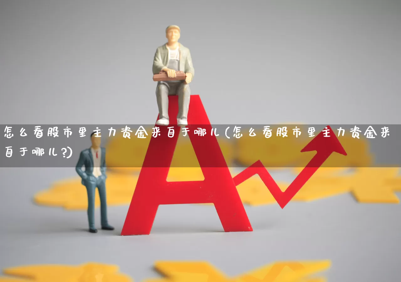怎么看股市里主力资金来自于哪儿(怎么看股市里主力资金来自于哪儿?)_https://www.haiwangdasha.com_上交所_第1张