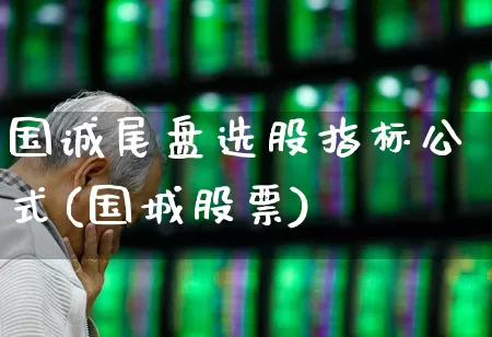 国诚尾盘选股指标公式(国城股票)_https://www.haiwangdasha.com_科创板_第1张