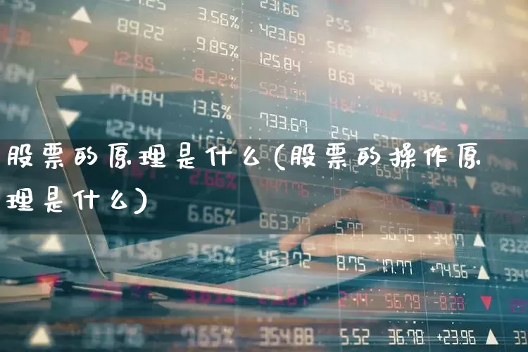 股票的原理是什么(股票的操作原理是什么)_https://www.haiwangdasha.com_上交所_第1张