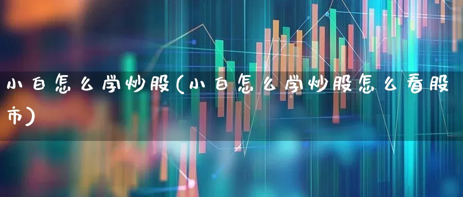 小白怎么学炒股(小白怎么学炒股怎么看股市)_https://www.haiwangdasha.com_上交所_第1张