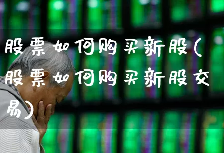 股票如何购买新股(股票如何购买新股交易)_https://www.haiwangdasha.com_创业板_第1张