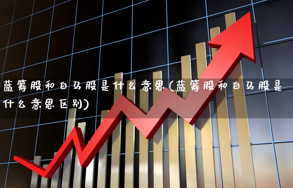 蓝筹股和白马股是什么意思(蓝筹股和白马股是什么意思区别)_https://www.haiwangdasha.com_北交所_第1张