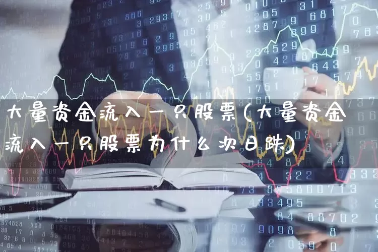 大量资金流入一只股票(大量资金流入一只股票为什么次日跌)_https://www.haiwangdasha.com_北交所_第1张