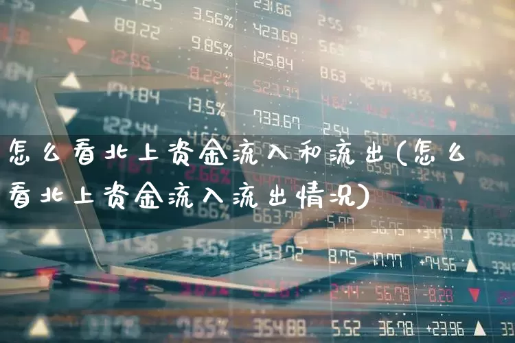 怎么看北上资金流入和流出(怎么看北上资金流入流出情况)_https://www.haiwangdasha.com_科创板_第1张