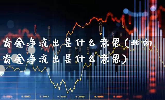 资金净流出是什么意思(北向资金净流出是什么意思)_https://www.haiwangdasha.com_创业板_第1张