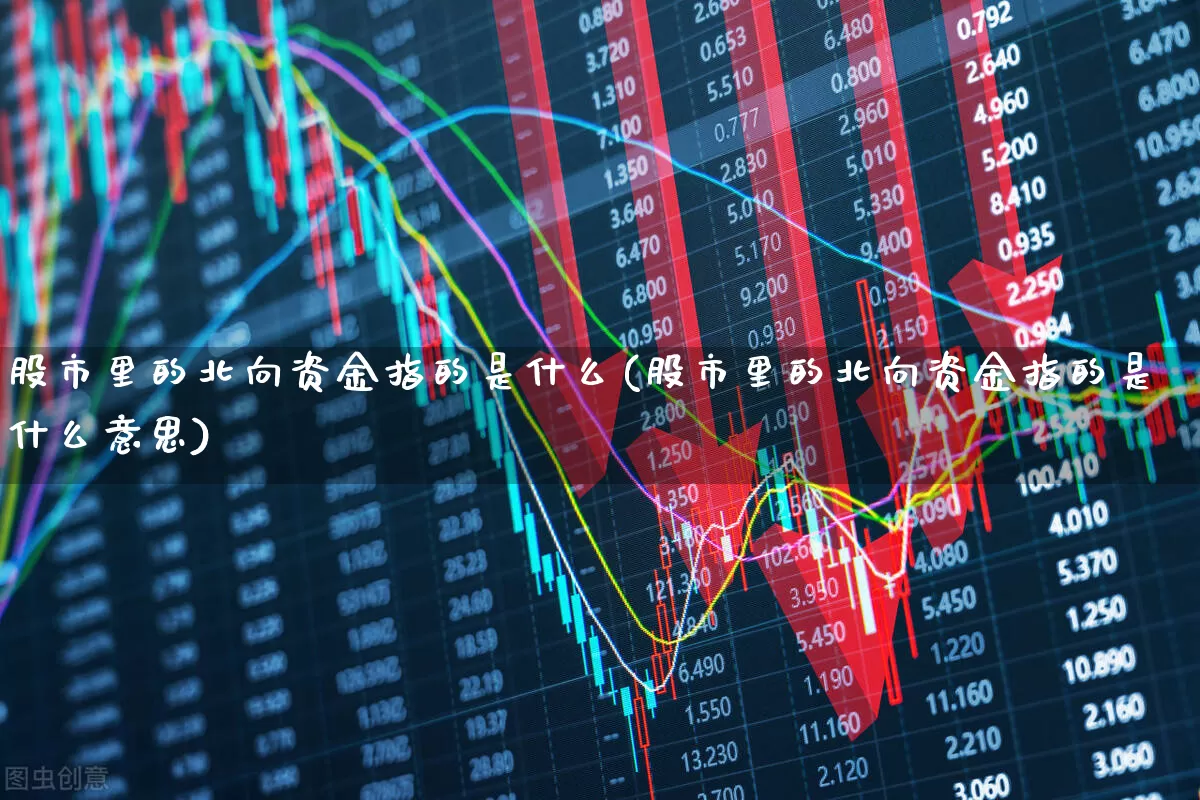 股市里的北向资金指的是什么(股市里的北向资金指的是什么意思)_https://www.haiwangdasha.com_科创板_第1张