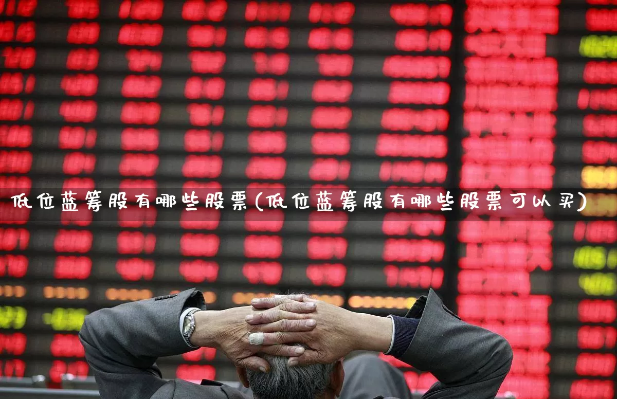 低位蓝筹股有哪些股票(低位蓝筹股有哪些股票可以买)_https://www.haiwangdasha.com_深交所_第1张
