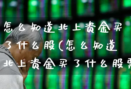 怎么知道北上资金买了什么股(怎么知道北上资金买了什么股票啊)_https://www.haiwangdasha.com_北交所_第1张