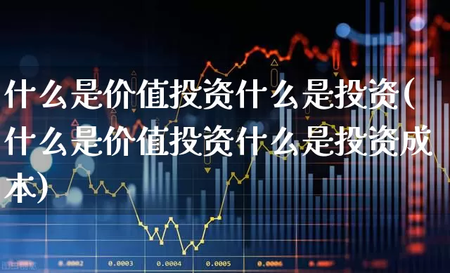 什么是价值投资什么是投资(什么是价值投资什么是投资成本)_https://www.haiwangdasha.com_深交所_第1张