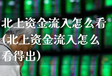 北上资金流入怎么看(北上资金流入怎么看得出)_https://www.haiwangdasha.com_北交所_第1张