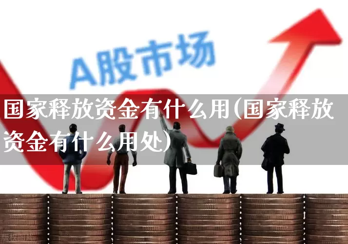 国家释放资金有什么用(国家释放资金有什么用处)_https://www.haiwangdasha.com_深交所_第1张