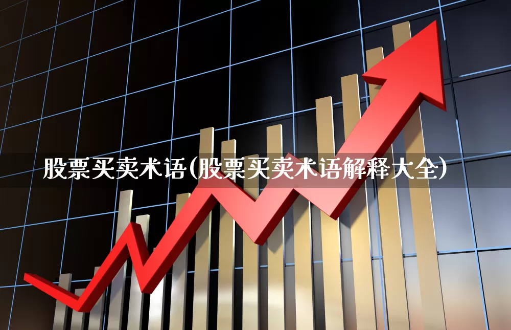 股票买卖术语(股票买卖术语解释大全)_https://www.haiwangdasha.com_创业板_第1张