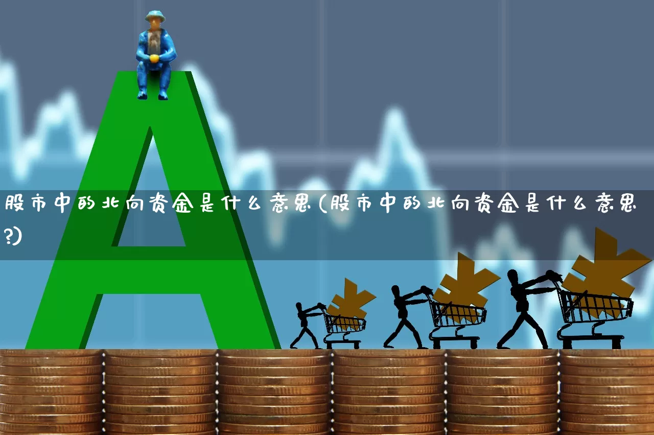 股市中的北向资金是什么意思(股市中的北向资金是什么意思?)_https://www.haiwangdasha.com_科创板_第1张