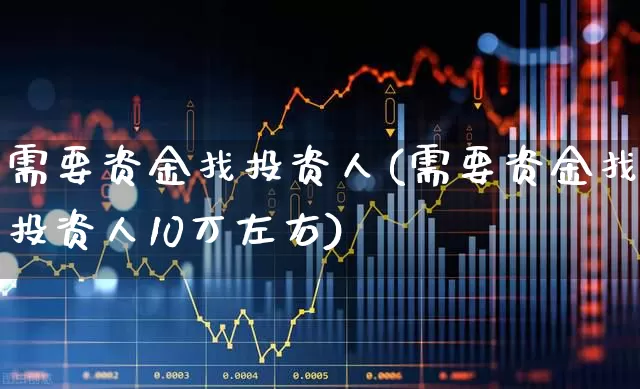 需要资金找投资人(需要资金找投资人10万左右)_https://www.haiwangdasha.com_北交所_第1张