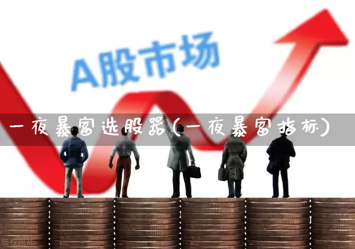 一夜暴富选股器(一夜暴富指标)_https://www.haiwangdasha.com_北交所_第1张