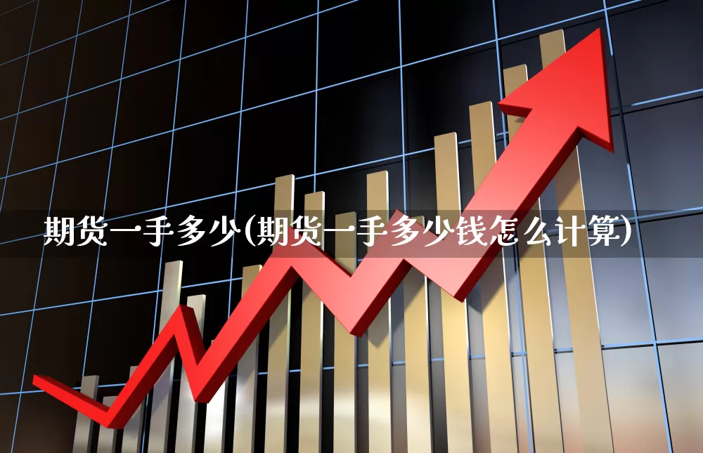 期货一手多少(期货一手多少钱怎么计算)_https://www.haiwangdasha.com_广期所_第1张