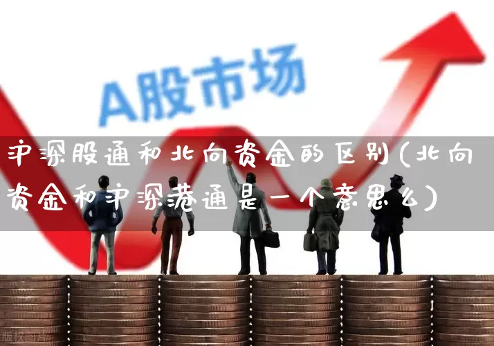 沪深股通和北向资金的区别(北向资金和沪深港通是一个意思么)_https://www.haiwangdasha.com_上交所_第1张