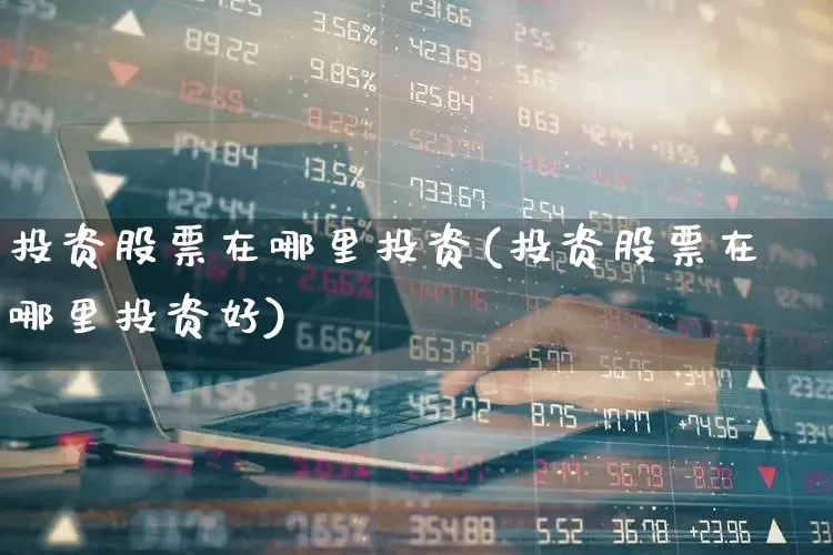 投资股票在哪里投资(投资股票在哪里投资好)_https://www.haiwangdasha.com_上交所_第1张