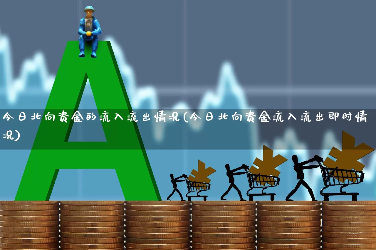 今日北向资金的流入流出情况(今日北向资金流入流出即时情况)_https://www.haiwangdasha.com_深交所_第1张